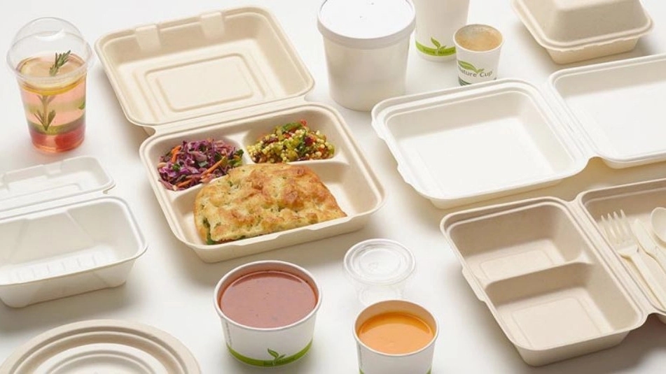 What are the types of disposable containers? What are the types of disposable containers?