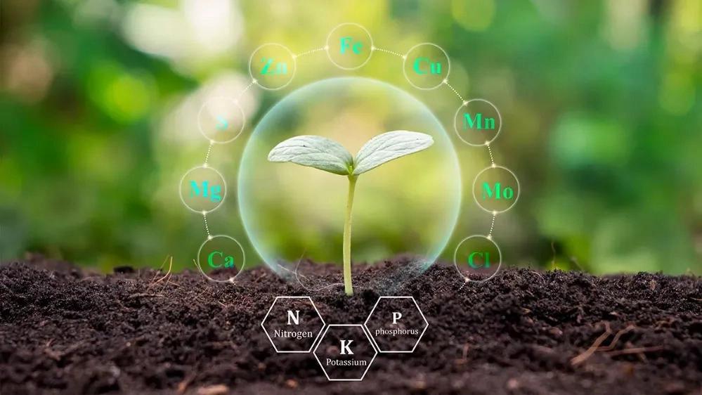 Biological fertilizer and its benefits