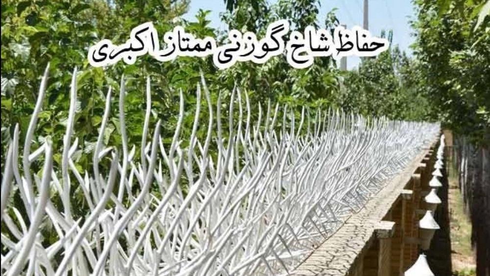 Mumtaz Akbari deer antler guard
