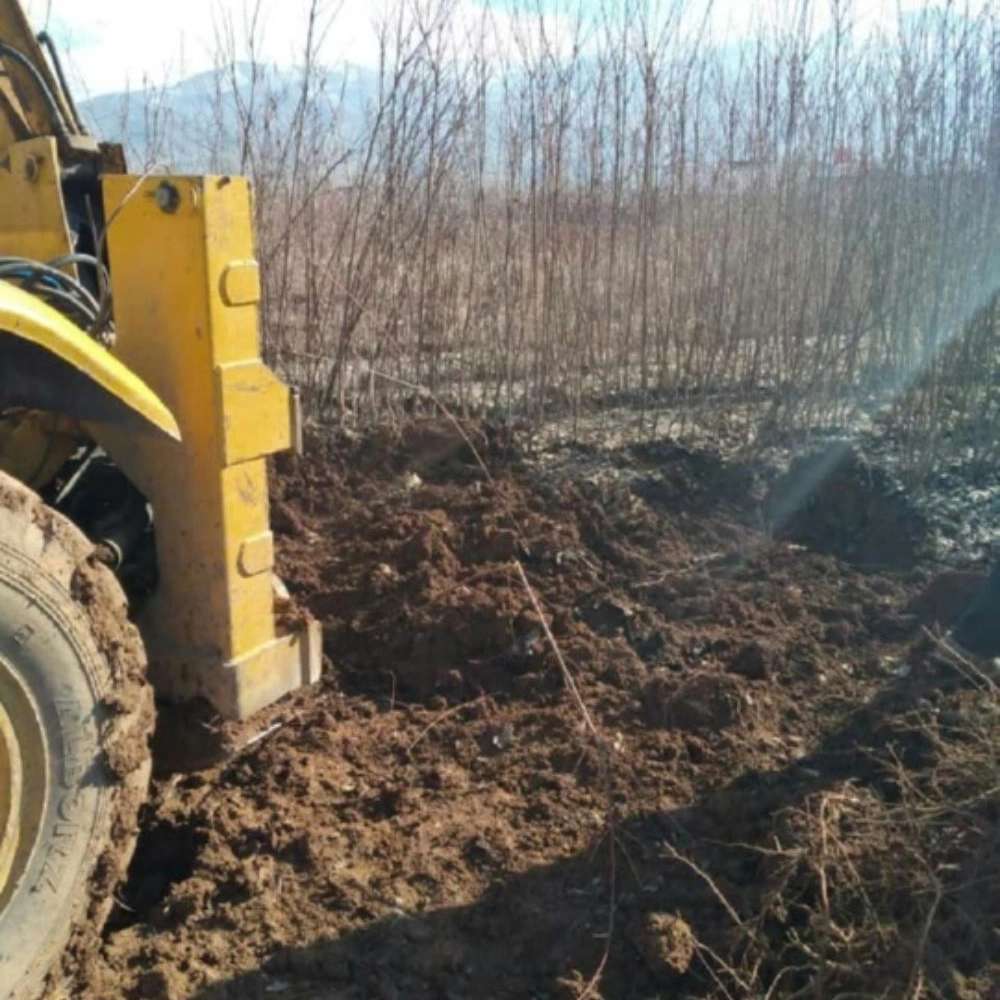 فروش نهال گردو زردآلو هلو سیب در جلفا فروش نهال گردو زردآلو هلو سیب در جلفا