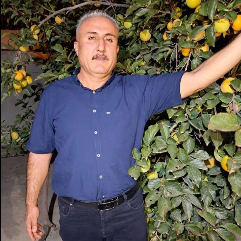 نهالستان ارس زرینه در میاندوآب نهالستان ارس زرینه در میاندوآب