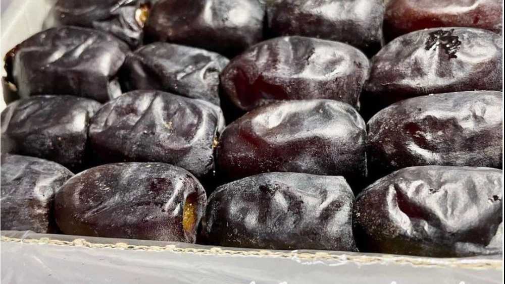 Adalat dates, wholesale and retail sale of additional dates in Bam Kerman