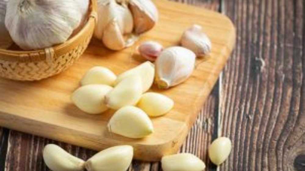 نکات نگهداری سیر