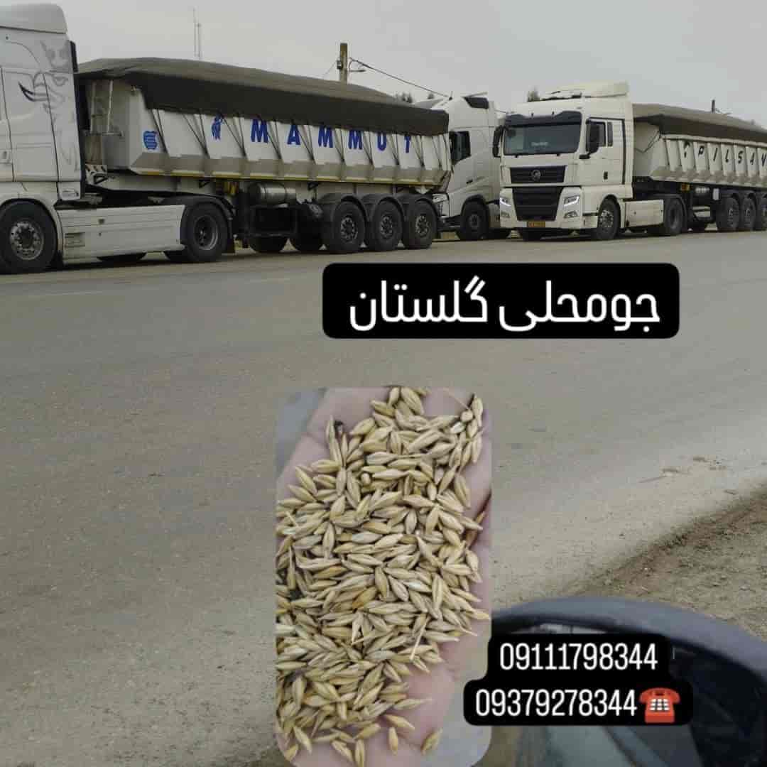1743844279311.webp
