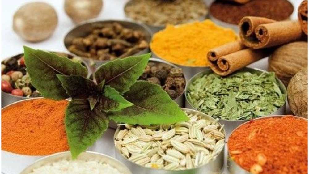 Ariana Trading ، مبيعات النباتات الطبية في Mazandaran