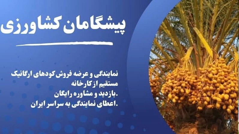 Purchase and price of the best liquid stimulus fertilizer in Kerman Purchase and price of the best liquid stimulus fertilizer in Kerman