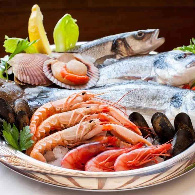 نادر تجارت نادر تجارت