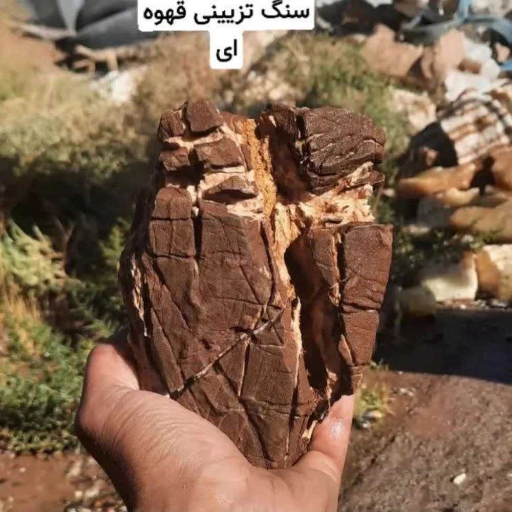 فروشگاه آکواریوم اقیانوس آبی سیرجان