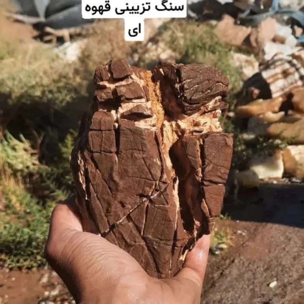 فروشگاه آکواریوم اقیانوس آبی سیرجان فروشگاه آکواریوم اقیانوس آبی سیرجان