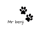 Mister Benji, designing and sewing dog and cat clothes in Tehran