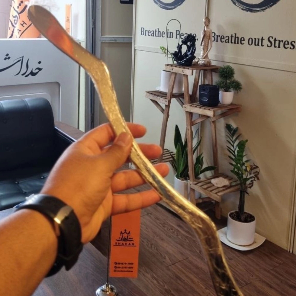 آکادمی شاهان آکادمی شاهان