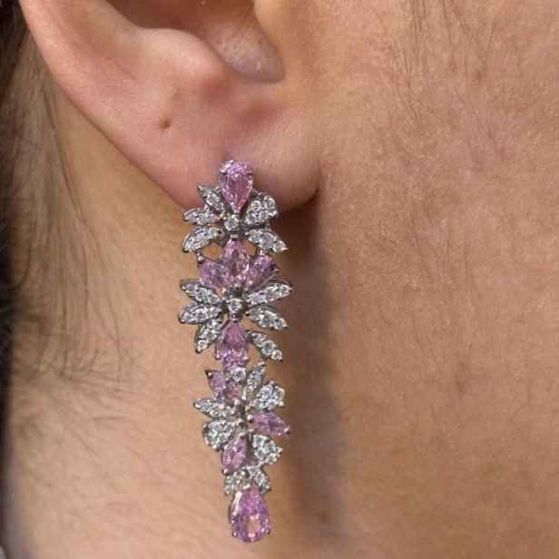 Jewelry earrings
