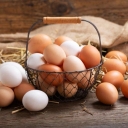 Padideh store, wholesale sale and distribution of eggs in Babylon