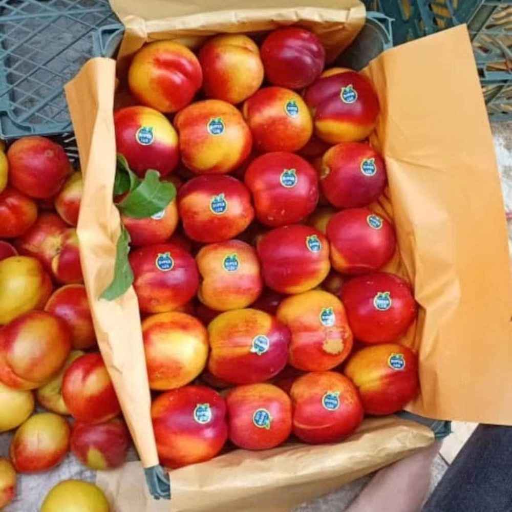 فروش محصولات کشاورزی فروش محصولات کشاورزی