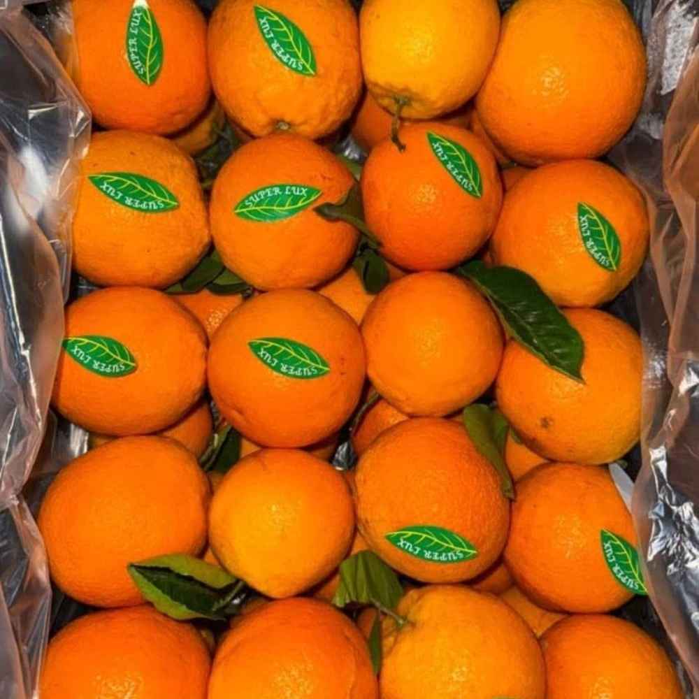 تک آغاج تک آغاج