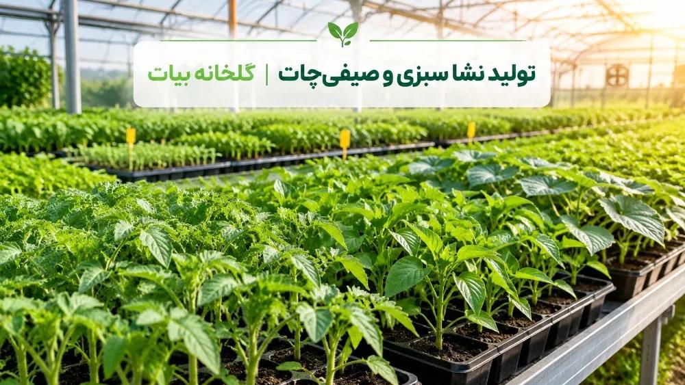 Vegetable and summer seedling production center in Shiraz