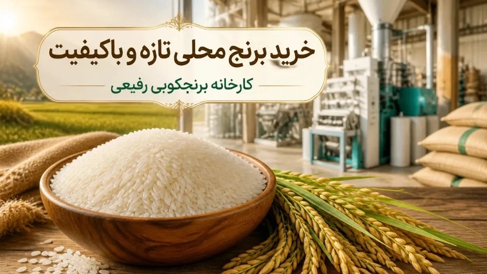 شراء الأرز المحلي الطازج وعالي الجودة في ليشتي نيشا شراء الأرز المحلي الطازج وعالي الجودة في ليشتي نيشا