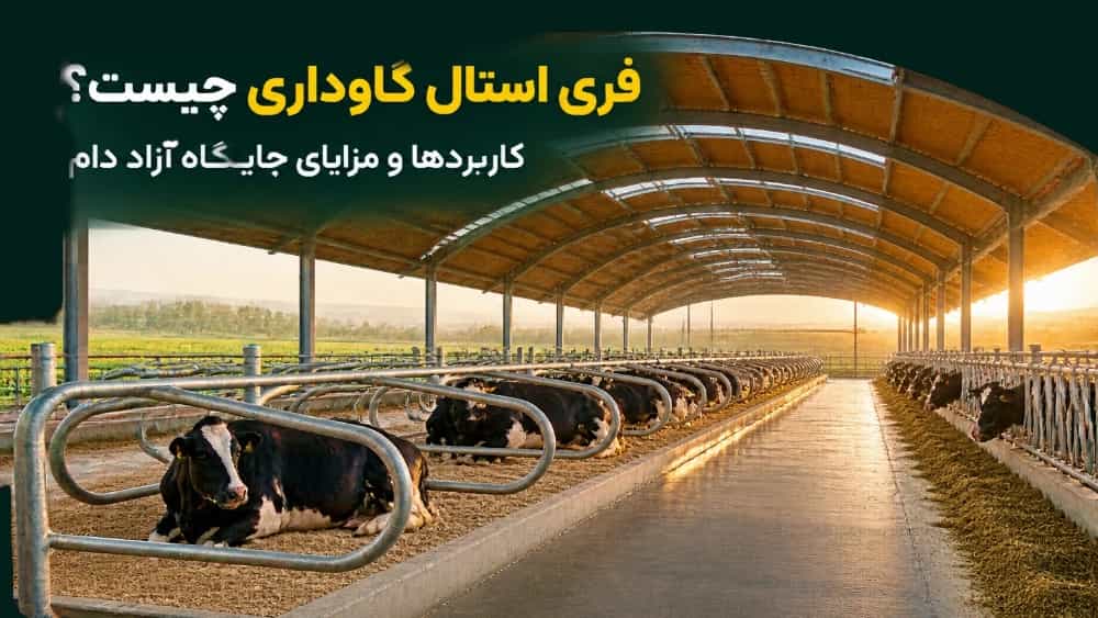ما هو المربط الحر للماشية وما هو تطبيقه في تربية الماشية؟
