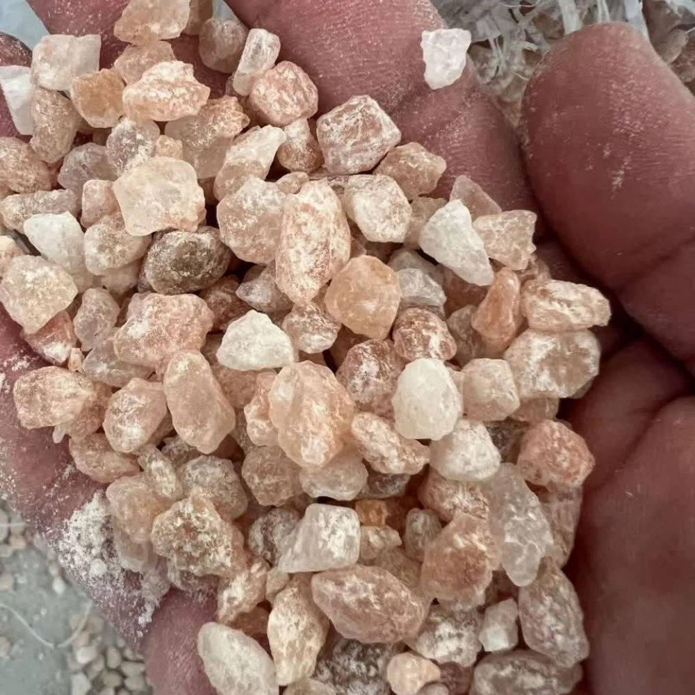 صادرات نمک دریا صادرات نمک دریا