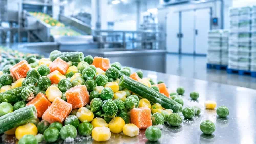 Production and supply of sustainable quality frozen vegetables for businesses