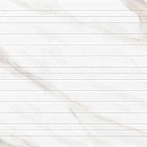 1740463573857.webp