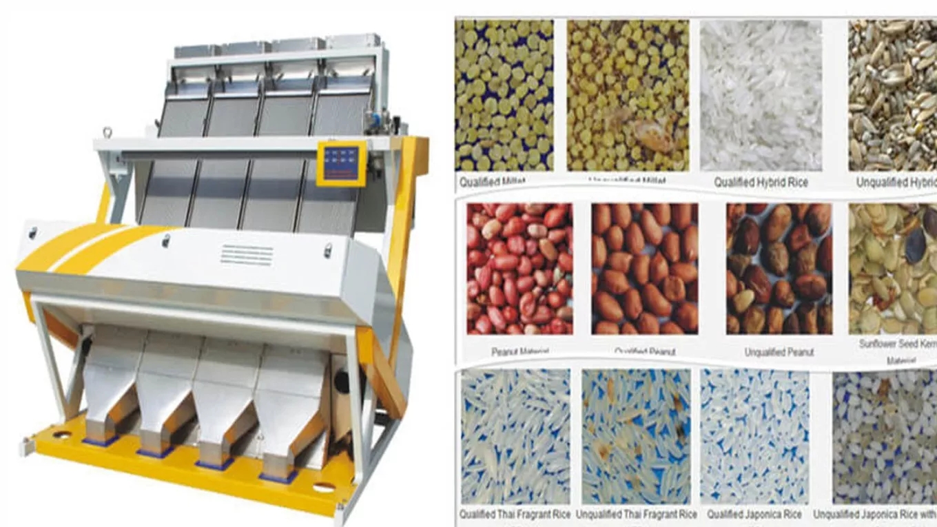 Production of rice threshing and sorting equipment for rice and beans by Mohammadpur Machinery in Amol