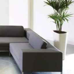 Art wood crafts production company in Tabriz