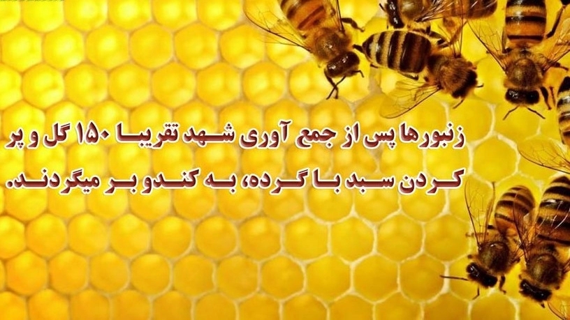 How bees produce natural honey