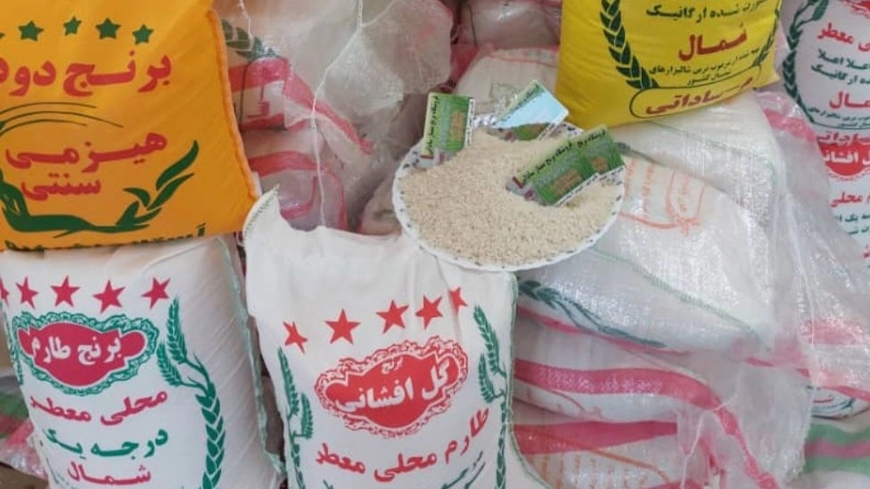 Flowering rice sales in Ghaemshahr, Mazandaran