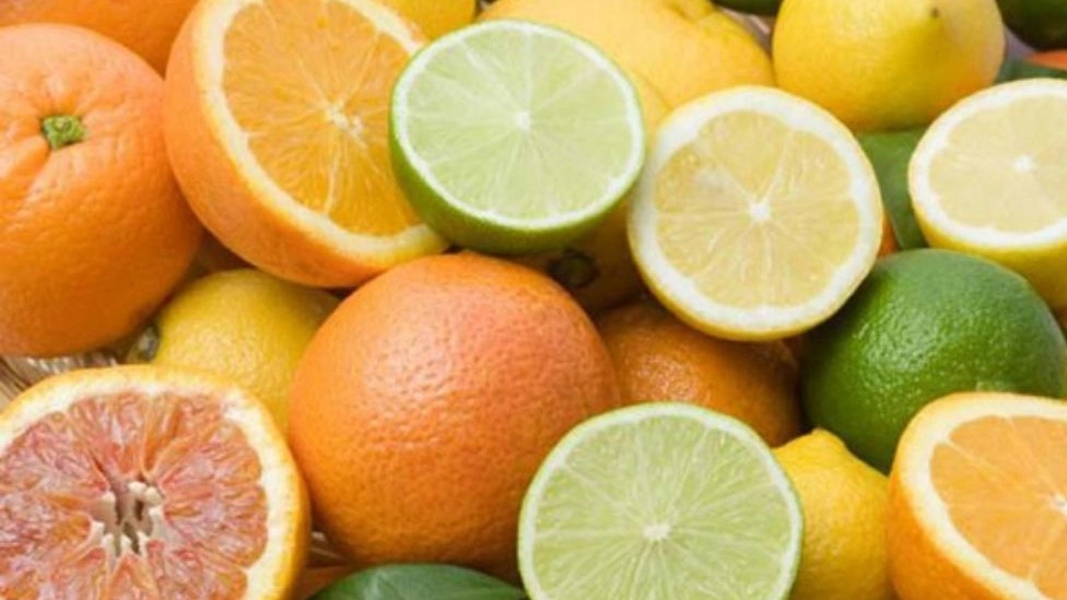 All kinds of citrus fruits