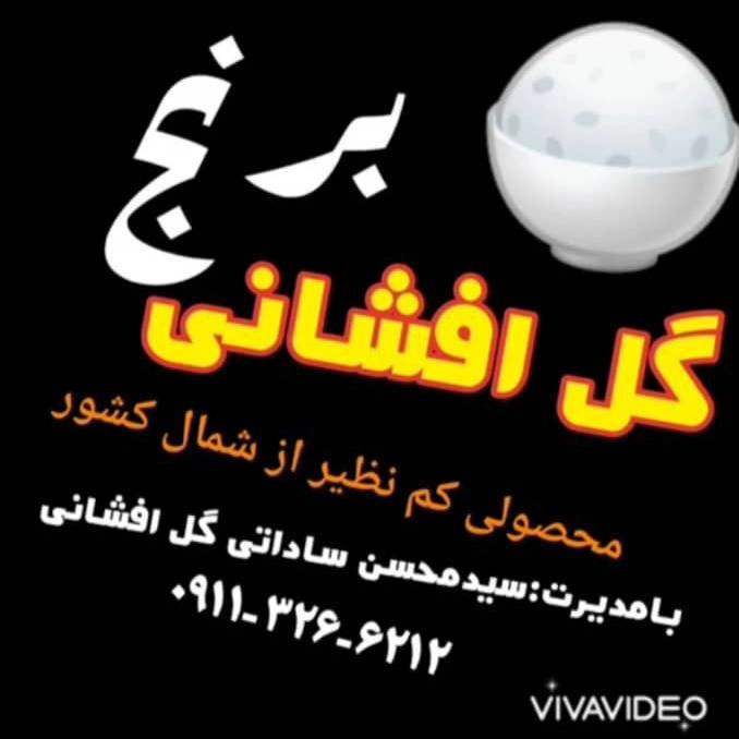 1706525041070.webp