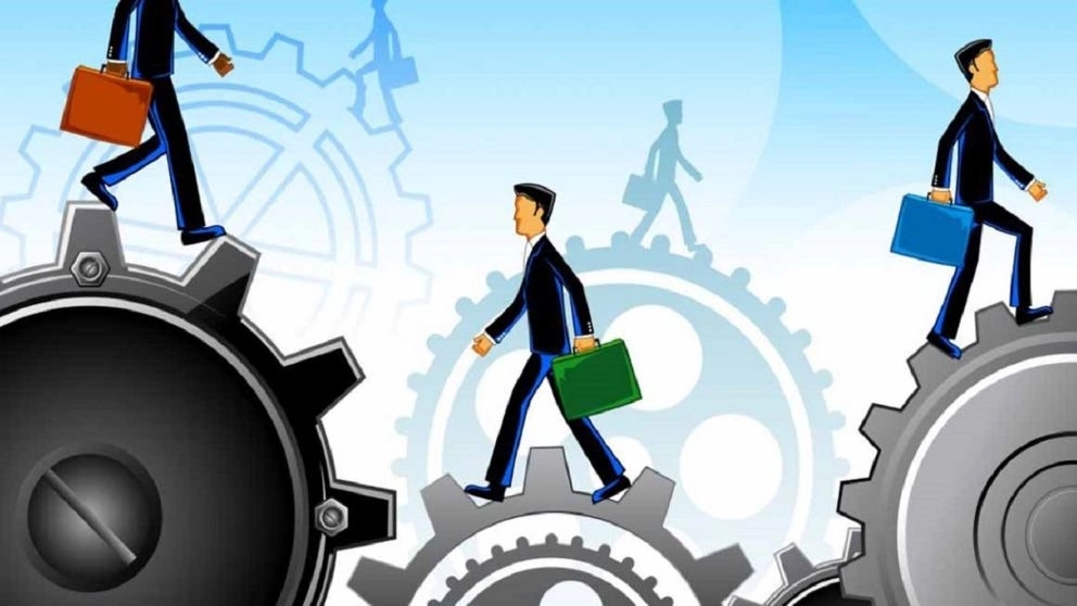 Parmis non-governmental employment and career counseling in Kurdistan