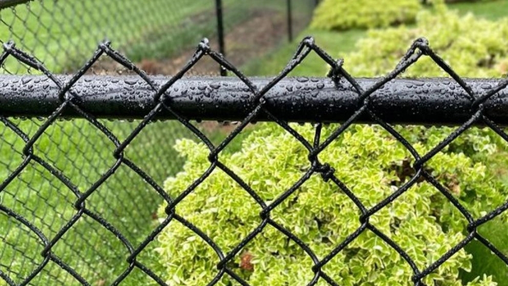 What are the types of garden fences?
