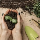 Horticultural and agricultural services of Khodabakhsh, implementation of plowing and spraying irrigation services in Qazvin