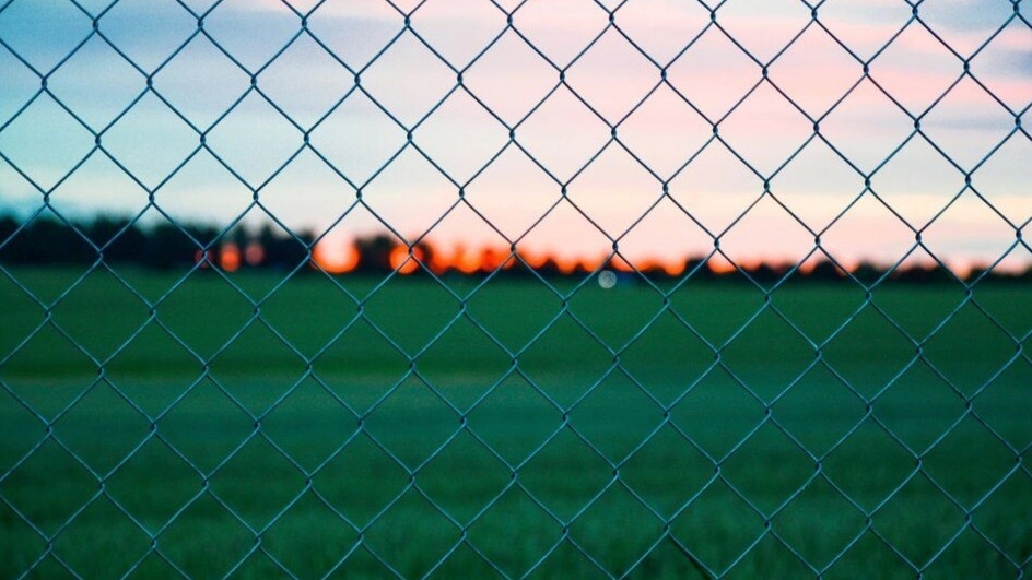 Important tips for buying fence netting and implementing a garden fence