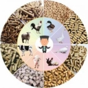 Mahmoudnejad livestock feed, sale of hay, straw and pottery with high tonnage in Bukan Kurdistan