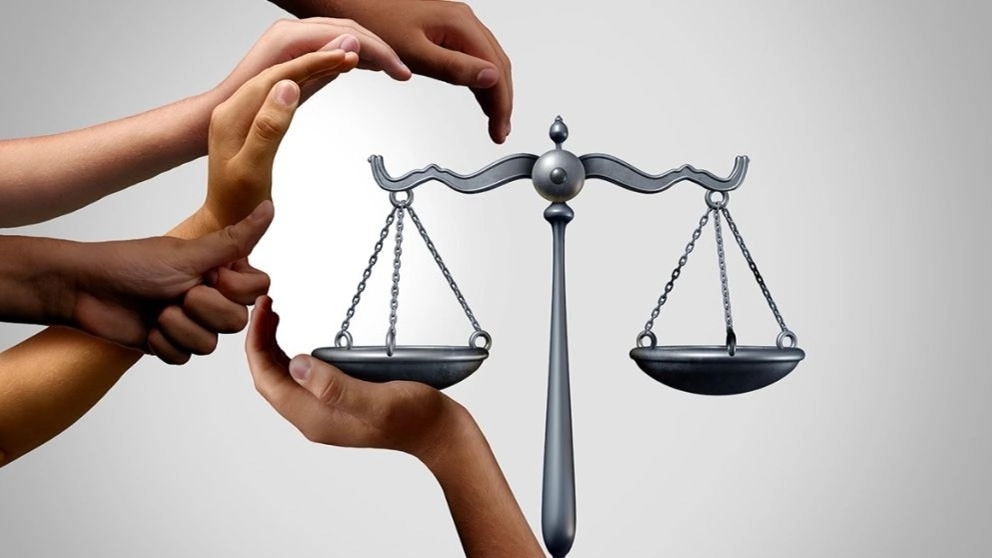 What is a lawyer?