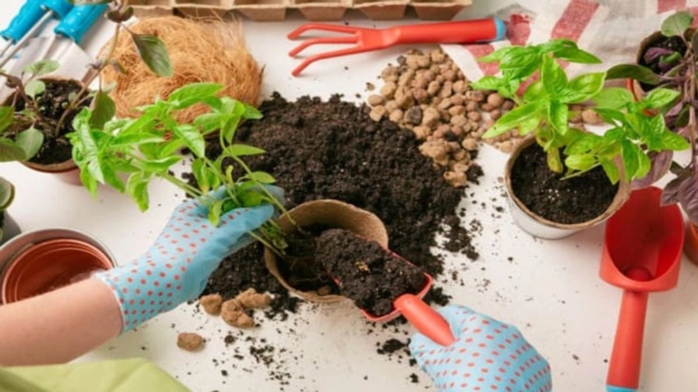 The difference between chelate and sulfate fertilizers