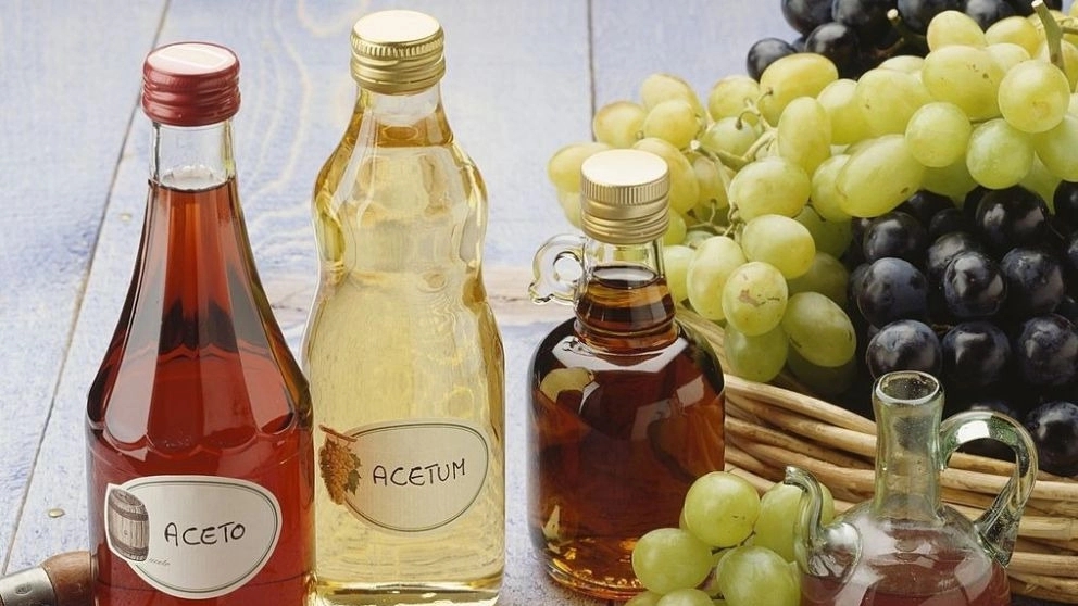 Red ruby, production and sale of vinegar in Alborz