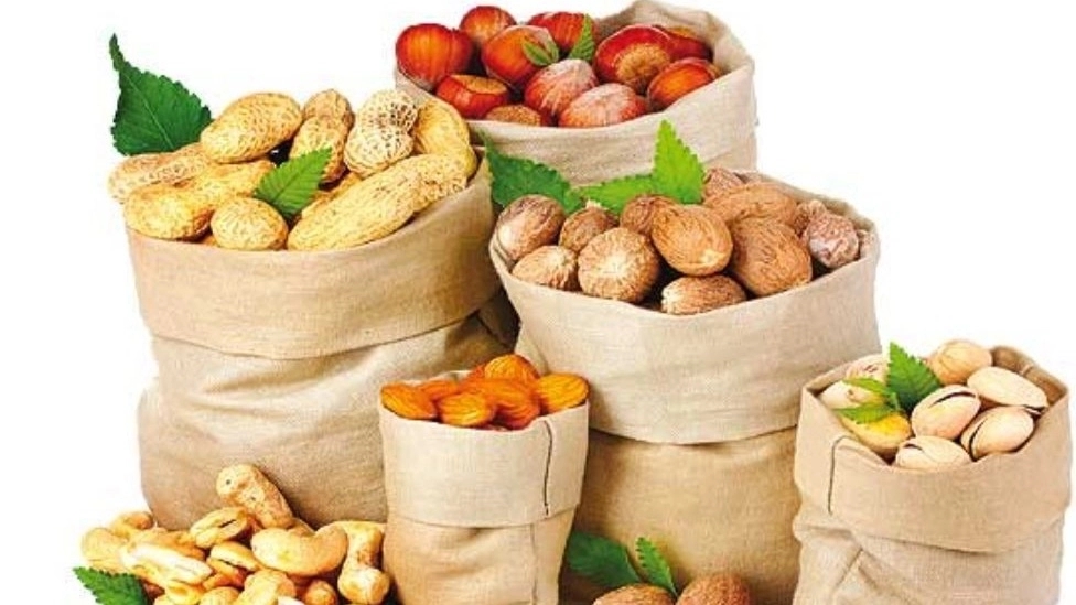 Kurdistan dried fruit in Gilan