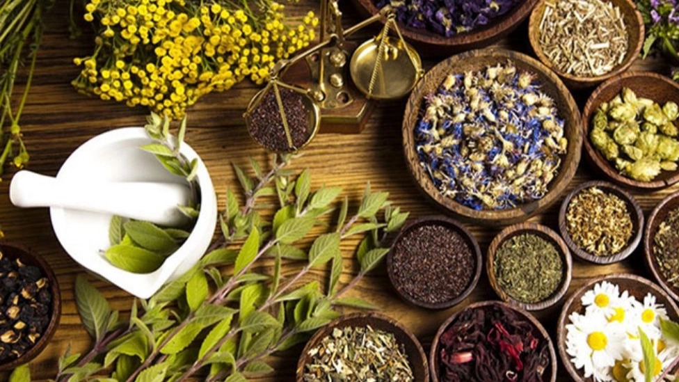 Zarin Gostar Sarina, sale and export of raisins and medicinal plants in Razavi Khorasan