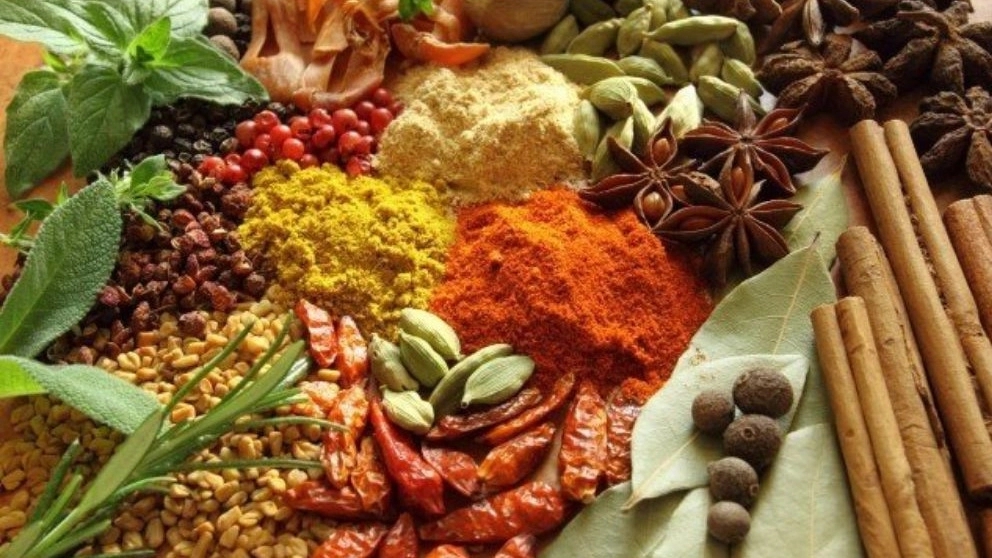 The best medicinal plants