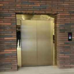 Lotus elevator, production of hinged door and elevator cabin parts in Tehran