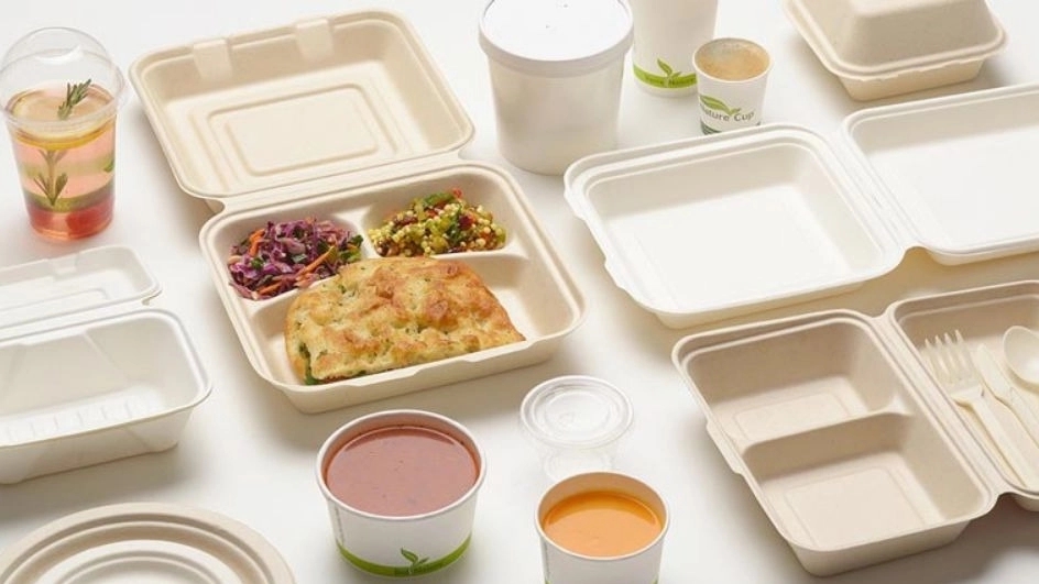 All kinds of disposable containers