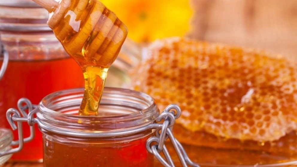 Asal Taqavi, wholesale sale and export of organic honey in Mazandaran