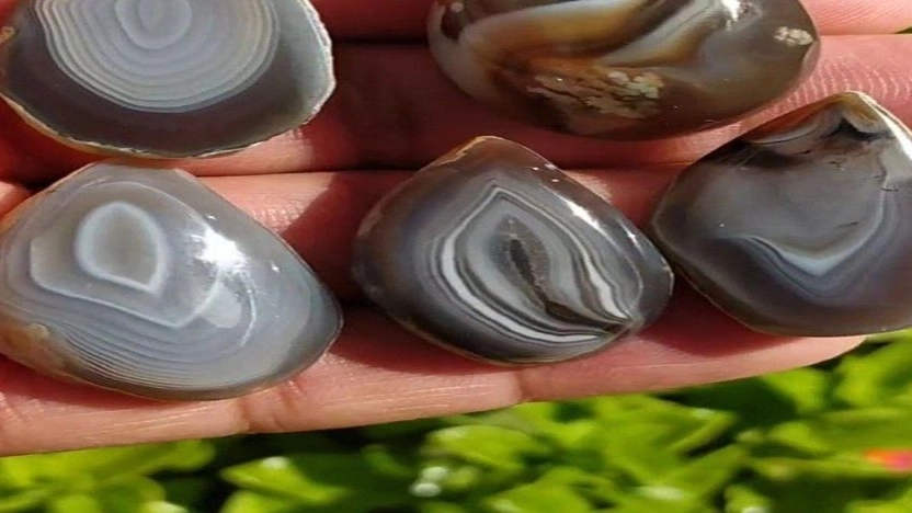 Sangeneh Gallery, selling all kinds of precious stones in Shajar collection in Khorasan