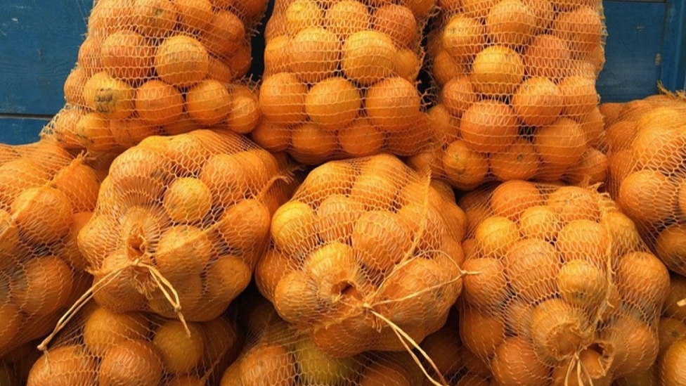 کیسه توری راشل
