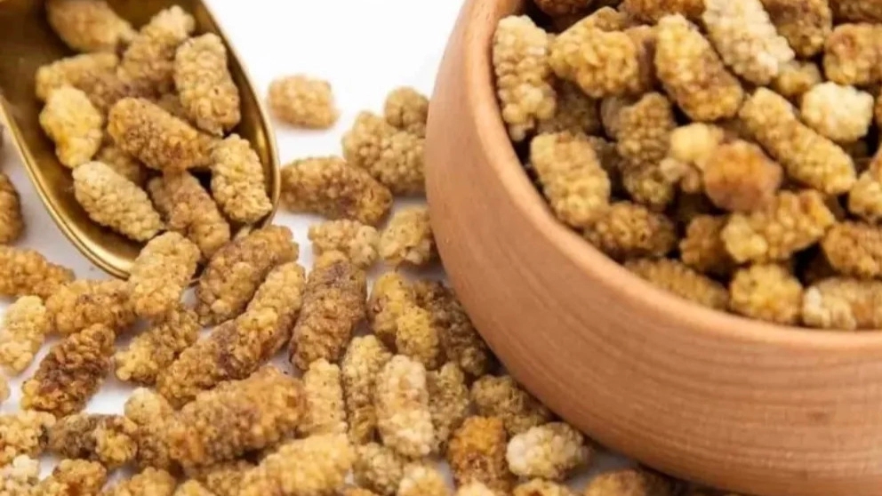 Properties of dried berries