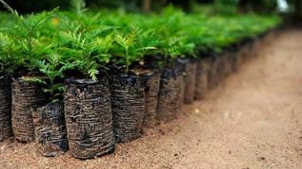 Nahal Plast, production and sale of potted bags in Karaj