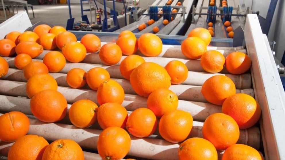 The importance of product sorting in businesses